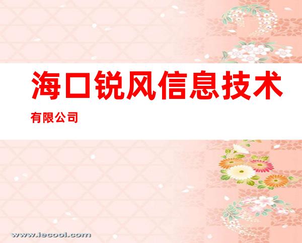 海口锐风信息技术有限公司